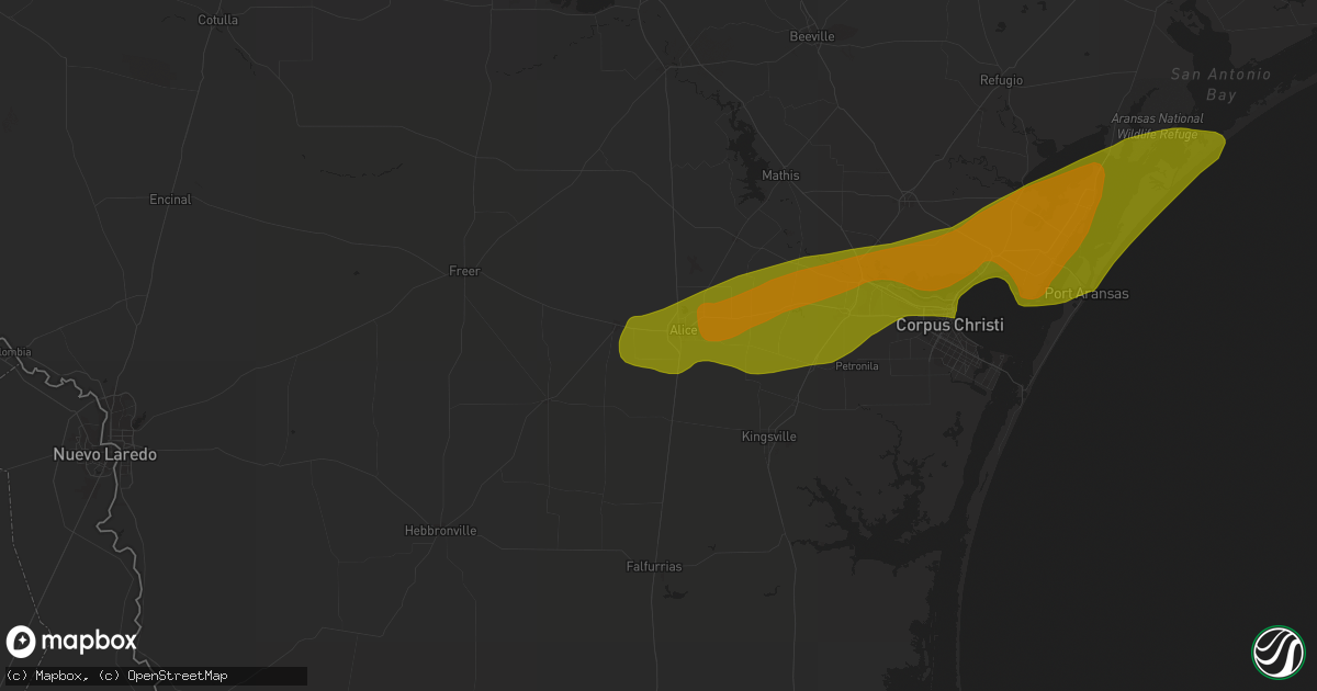 Hail map in Alice, TX on January 9, 2011