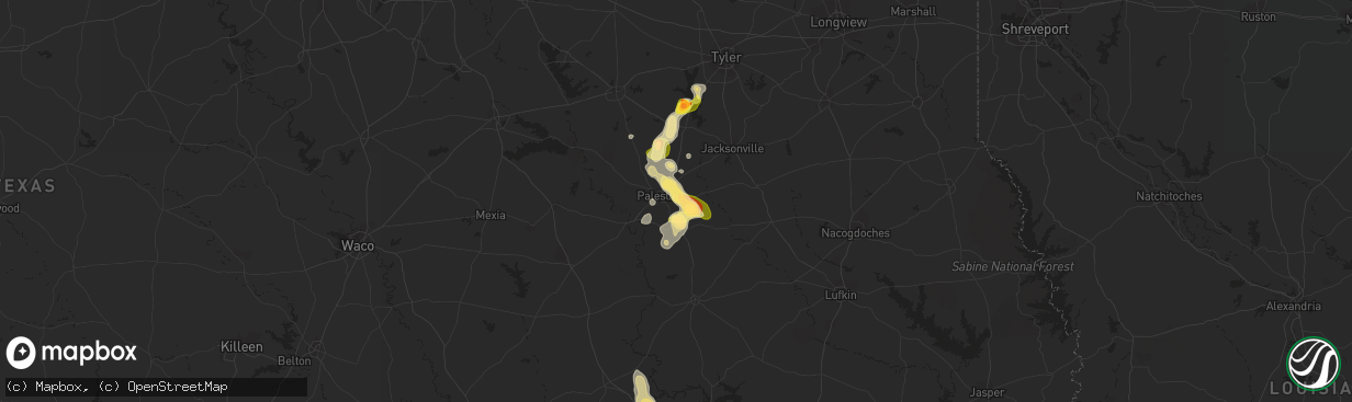 Hail map in Palestine, TX on January 30, 2011