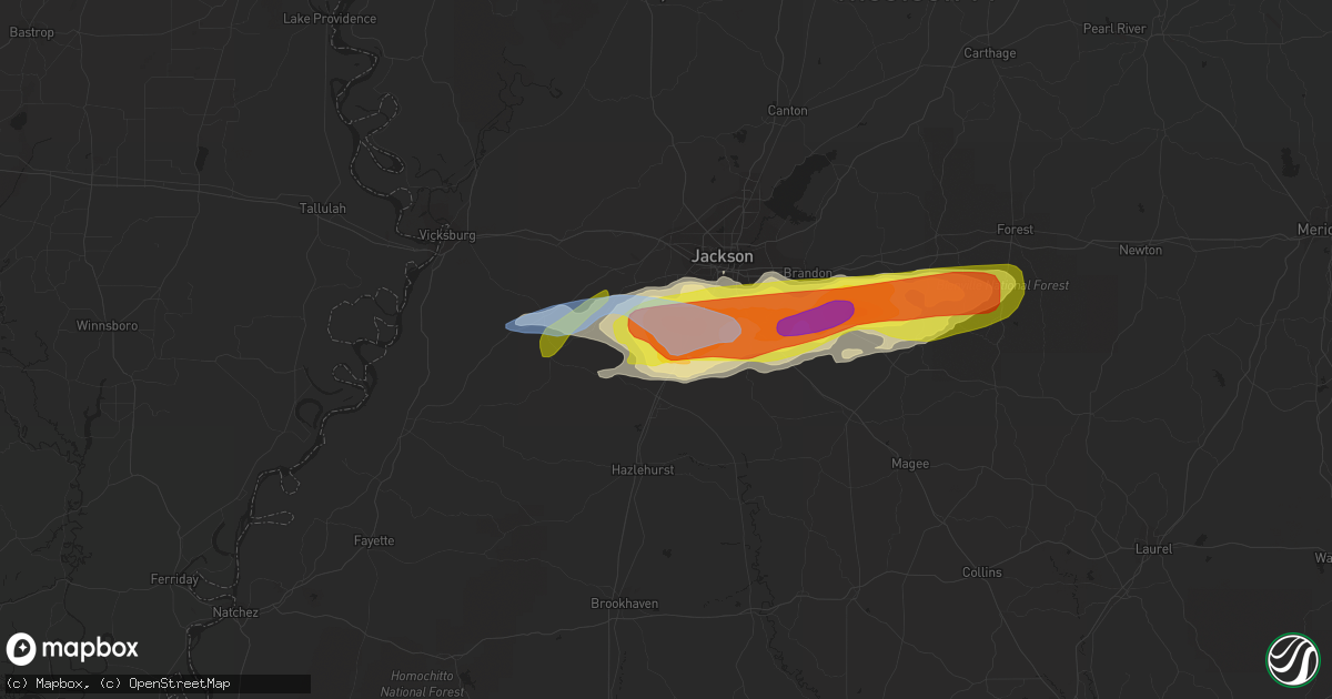 Hail map in Terry, MS on March 4, 2020