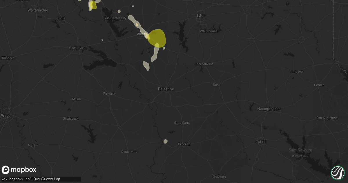 Hail map in Palestine, TX on May 24, 2026