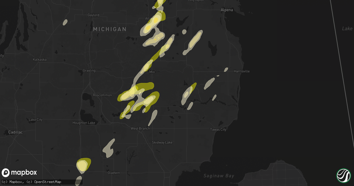 Hail map in South Branch, MI on June 16, 2026