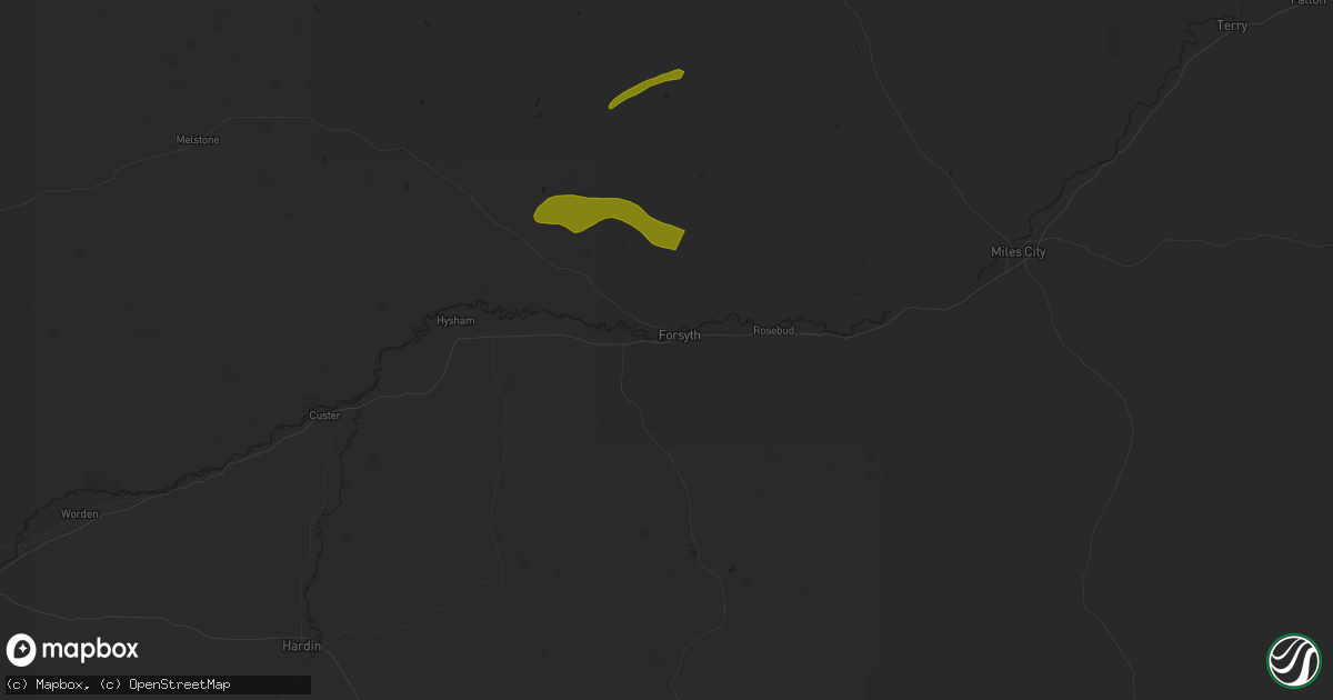 Hail map in Forsyth, MT on July 29, 2025